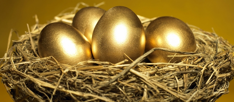 Google Apps: a Golden Goose … or just a Goose Egg?