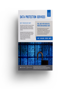 Brochure: <br/> Data Protection Services